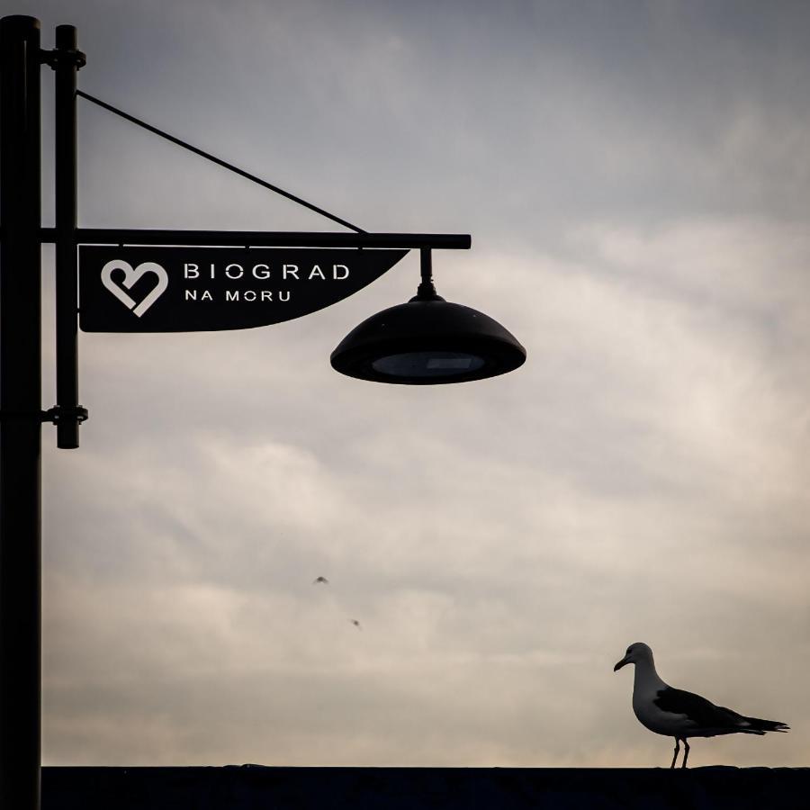 Apartmani Dina Biograd Na Moru Extérieur photo